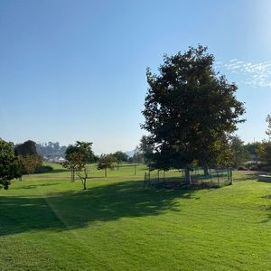 Meet your Posher, Sai yi